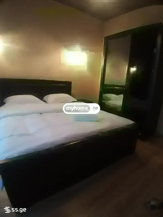 7 Room Summer Cottage Daily Rent. Didi Digomi view 44
