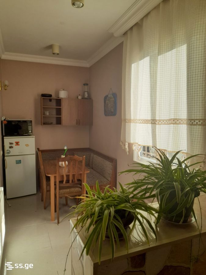 3 Room Flat For Rent. Mtskheta view 11