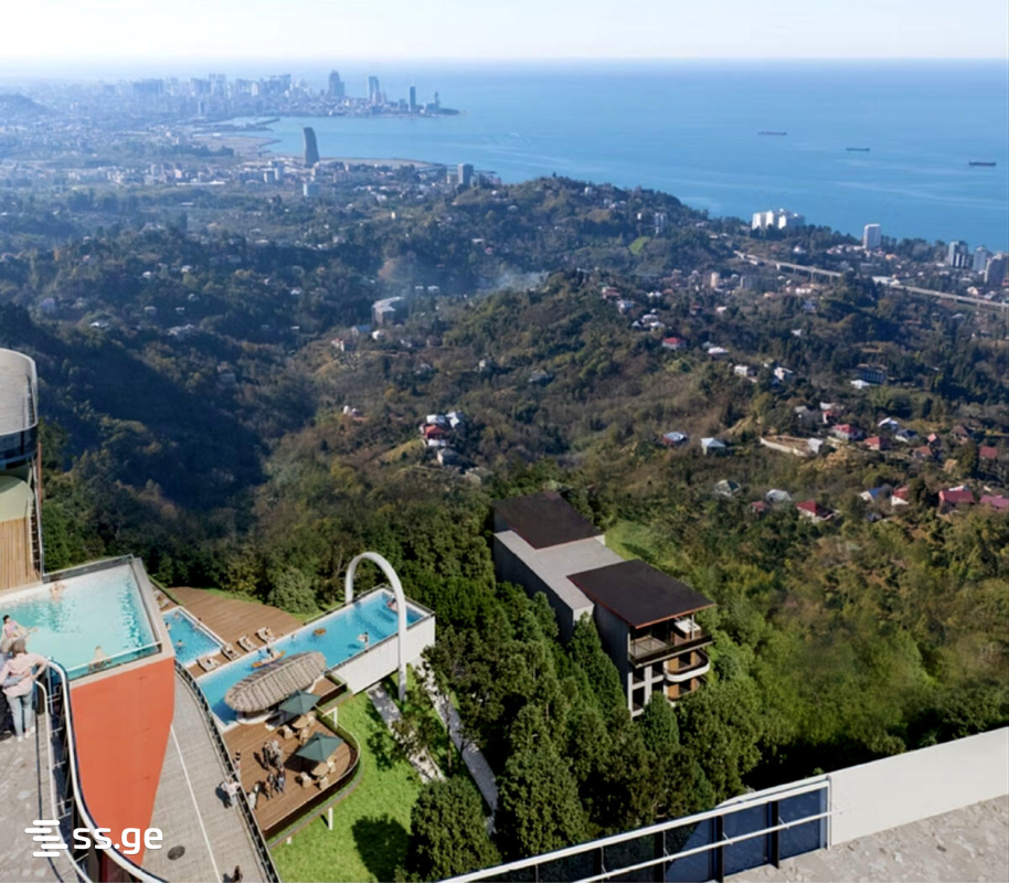 Land For Sale. Makhindjauri view 2