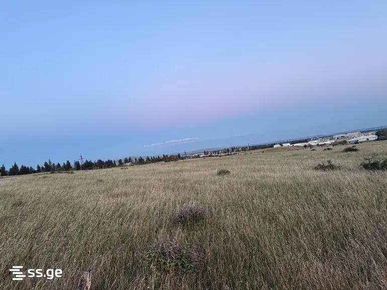 Land For Sale. Didube, 1 of 4