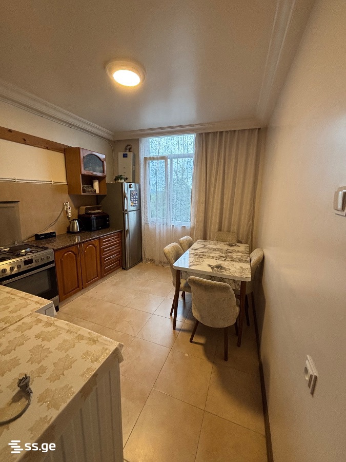 2 Room Flat Daily Rent. Kobuleti view 8
