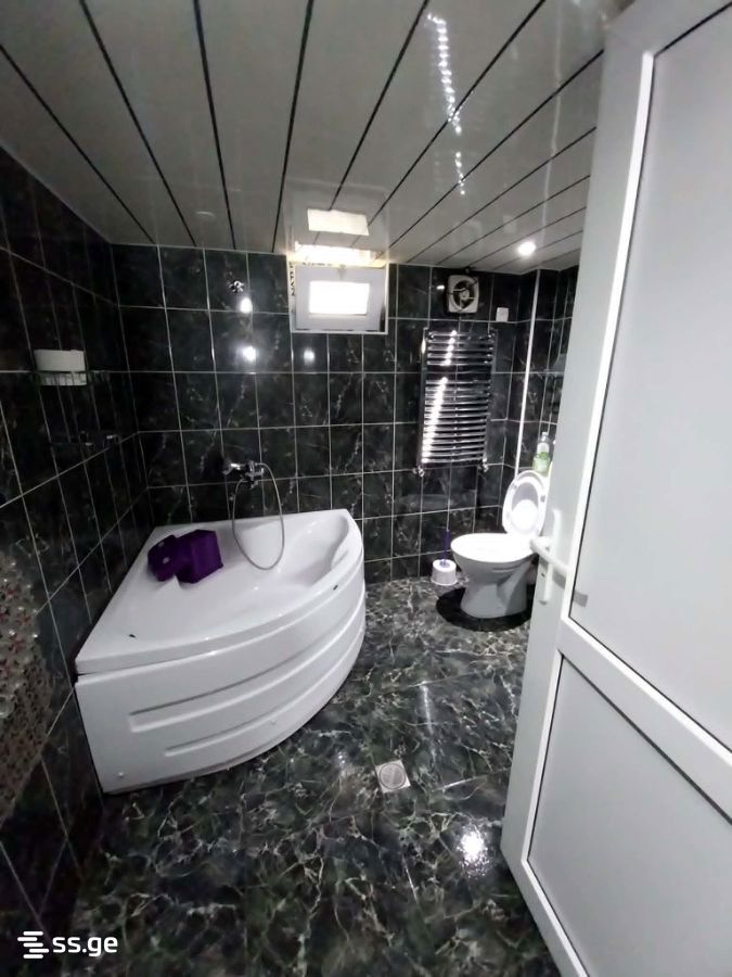 3 Room Private House For Rent. Kutaisi view 6