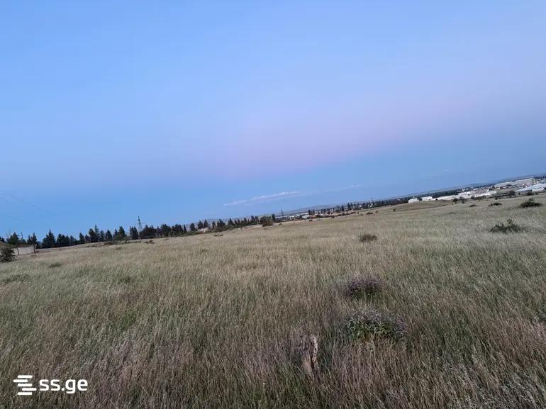 Land For Sale. Didube, 3 of 4