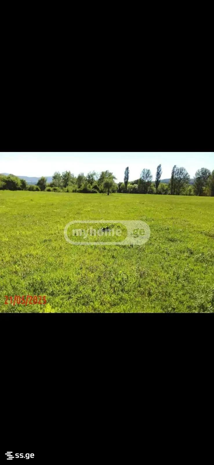 Land For Sale. Akhalsopeli view 2