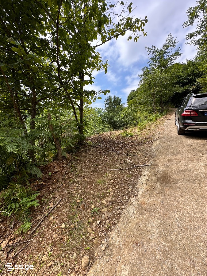 Land For Sale. Chaqvi view 9