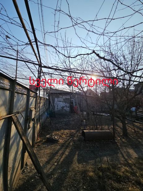 https://static.ss.ge/20260708/6_9a35a1e6-cb29-426c-9476-e78443b53d90_Thumb.jpg