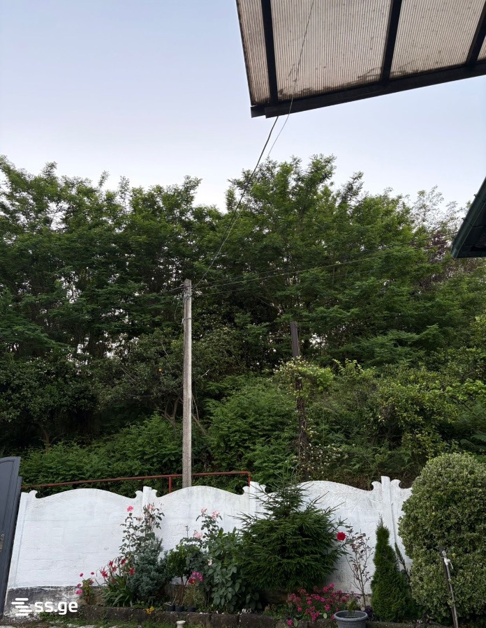4 Room Private House Daily Rent. Batumi view 14
