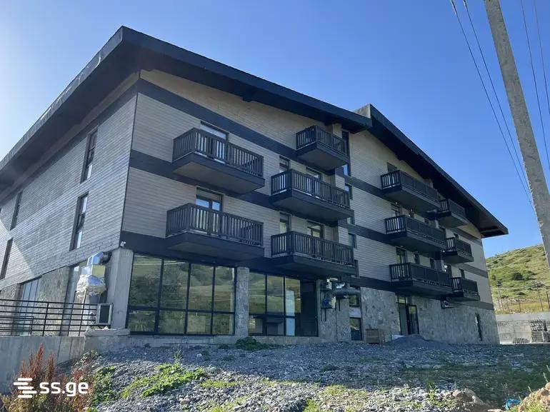 2 Room Flat For Rent. Gudauri view 8
