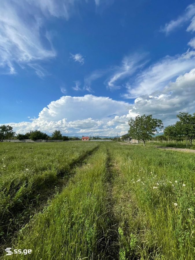 Land For Sale. Mukhrani view 1