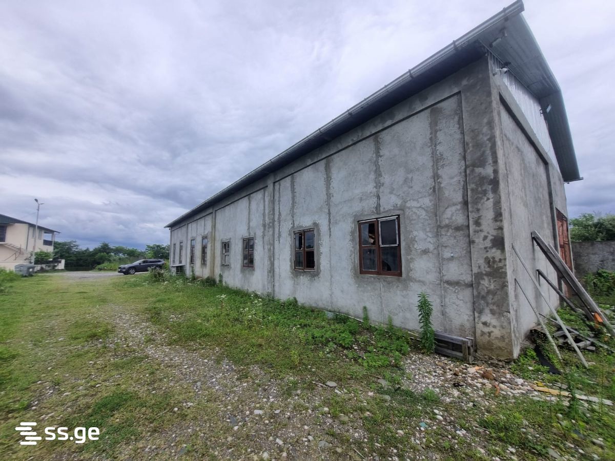 Store-Industrial Property For Sale. Poti view 8