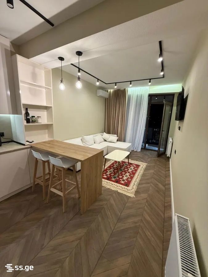 2 Room Flat For Rent. Vashlijvari view 2