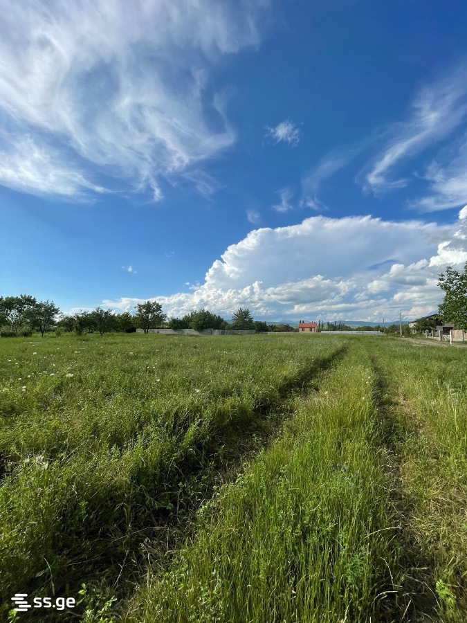 Land For Sale. Mukhrani view 3