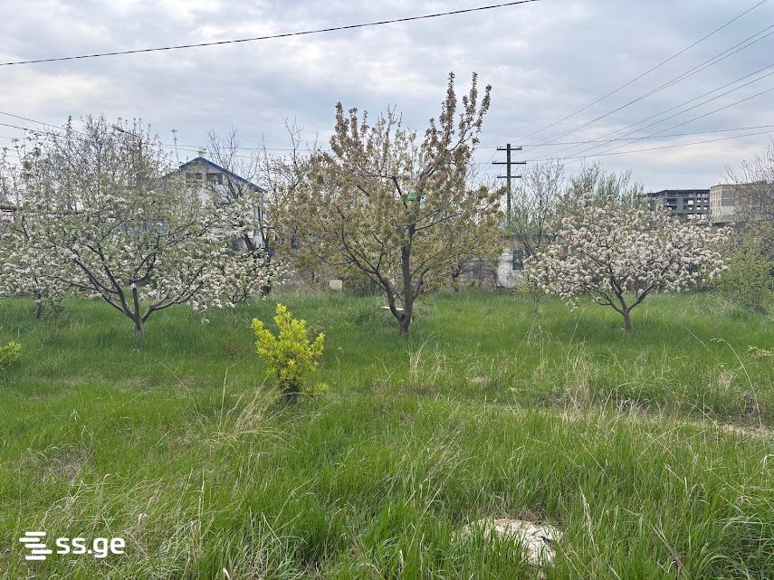 Land For Sale. Gldani view 1