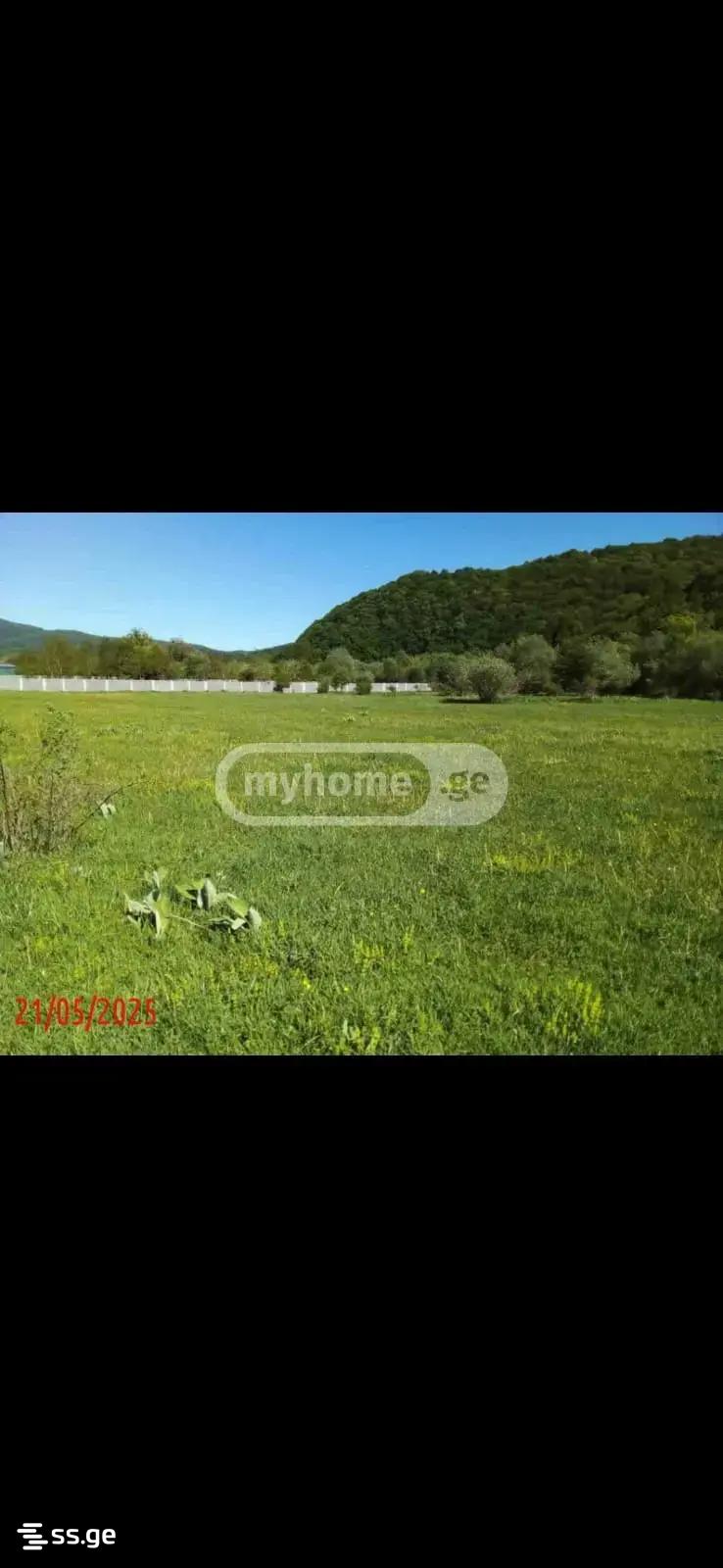 Land For Sale. Akhalsopeli view 3