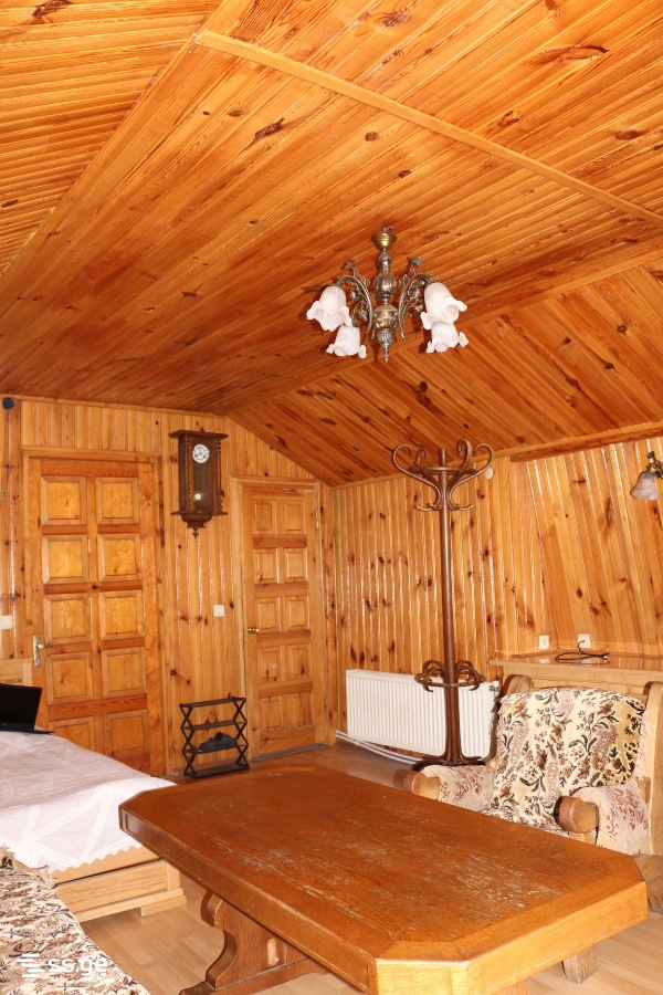 1 Room Private House Daily Rent. Borjomi view 7