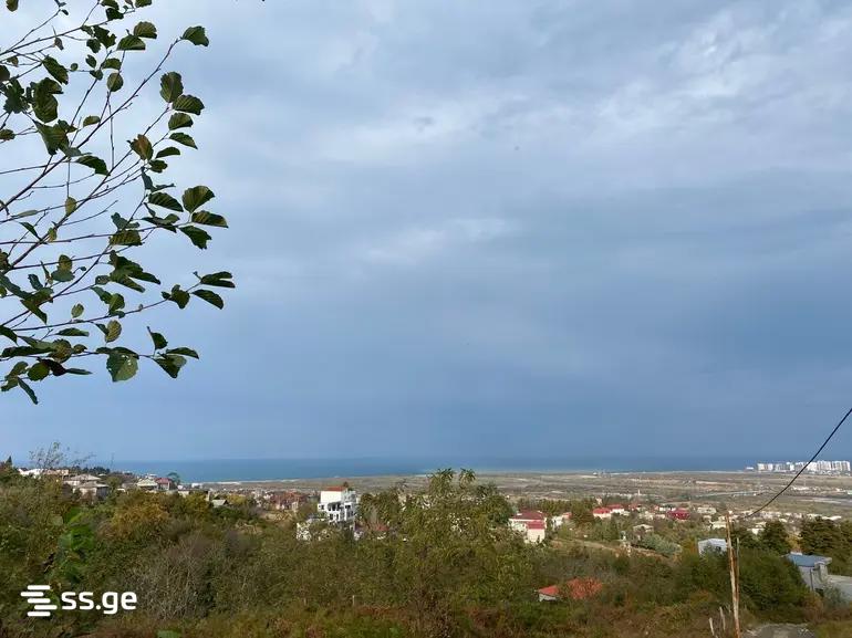 იყიდება მიწა გონიოში view 3