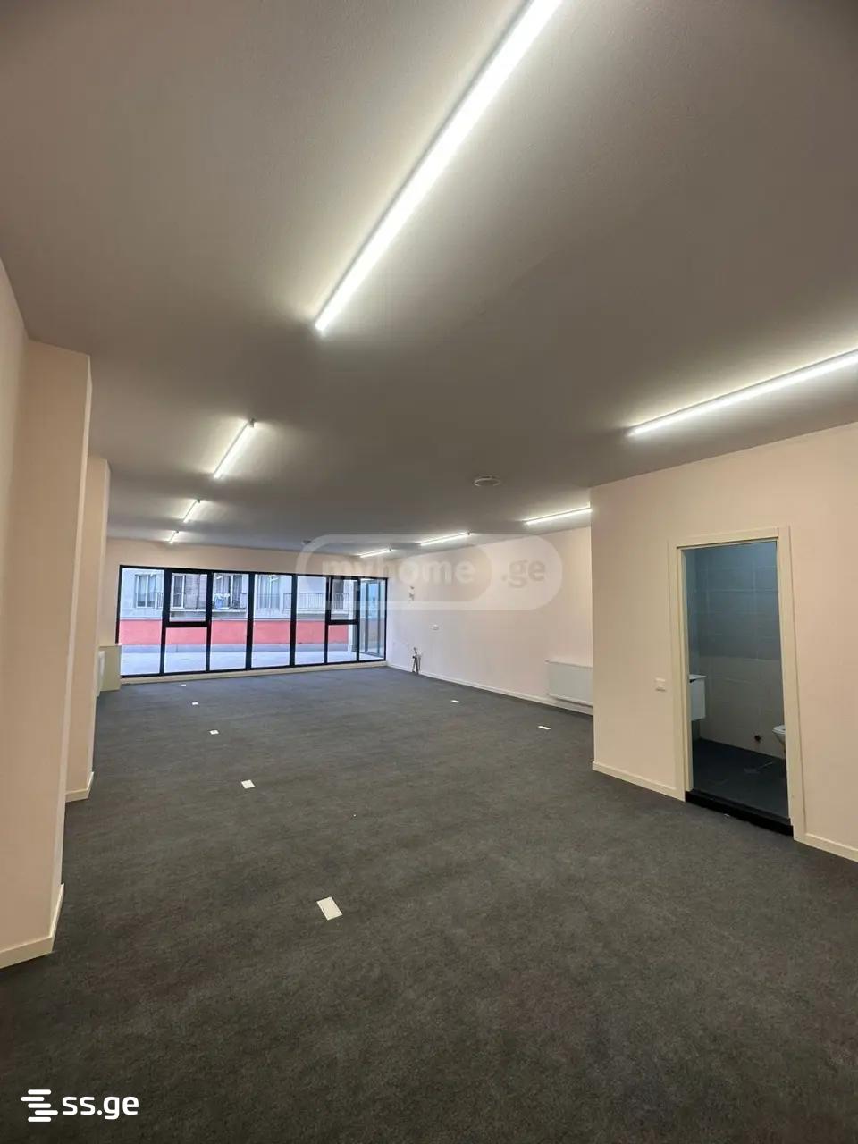 Commercial Space For Sale. Nadzaladevi view 15