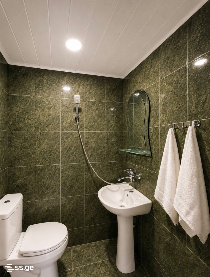 11 Room Flat Daily Rent. Kobuleti view 7