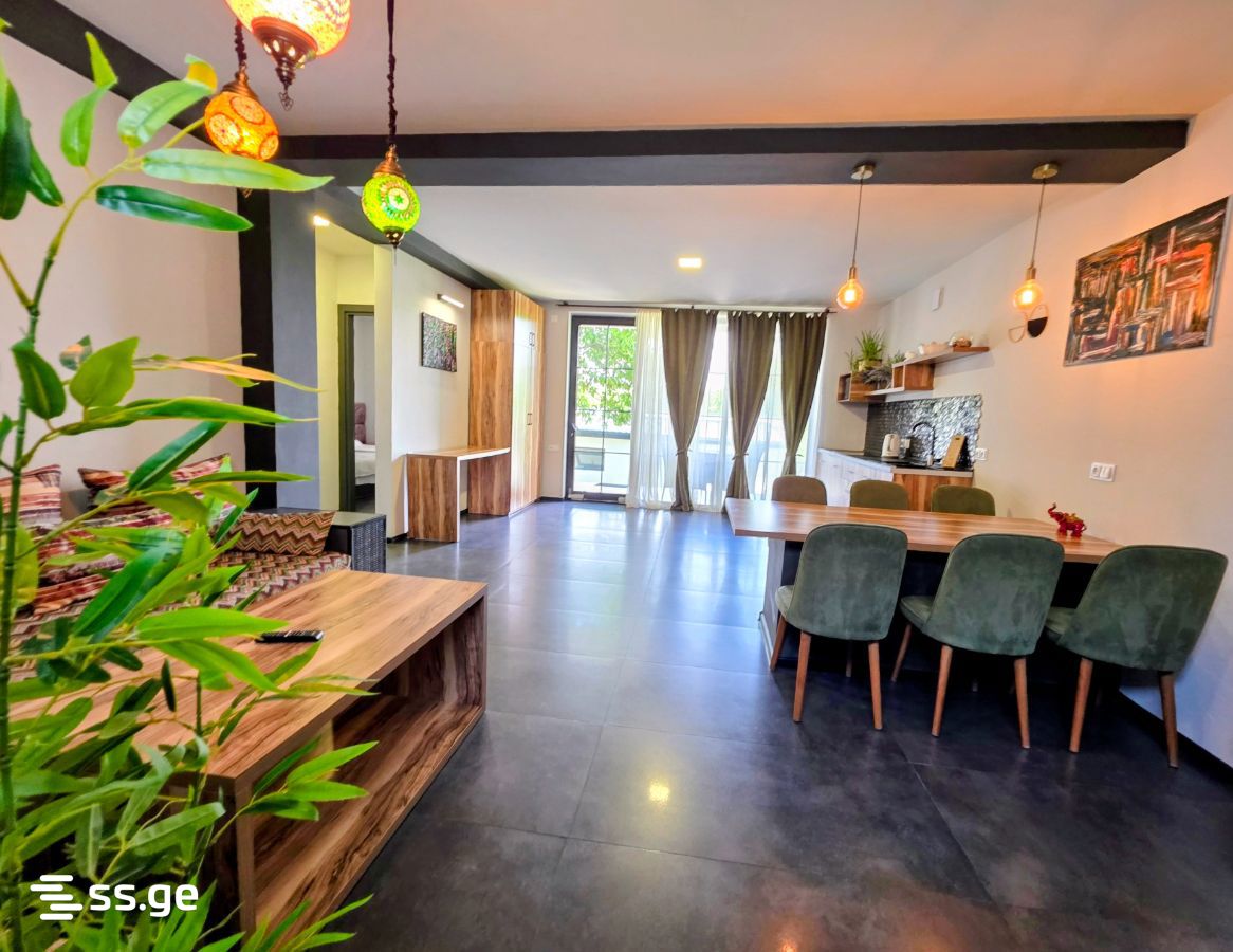 3 Room Private House For Rent. Telavi view 7