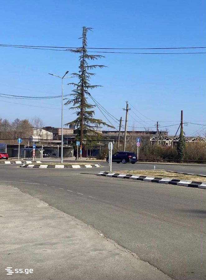 Land For Sale. Ozurgeti view 1