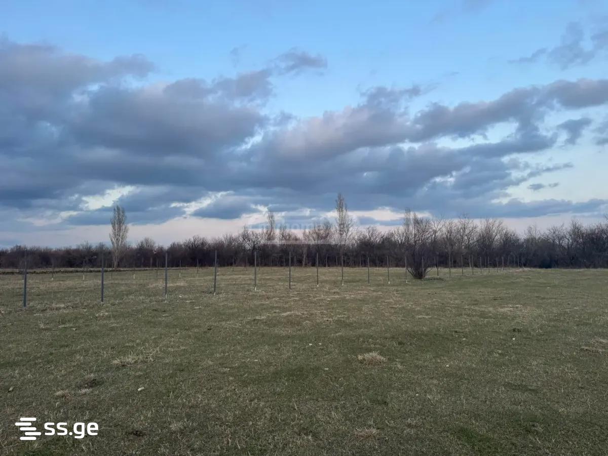 Land For Sale. Gamarjveba view 3