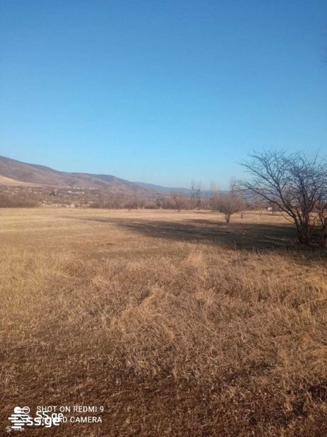 იყიდება მიწა ცილკანიში view 4
