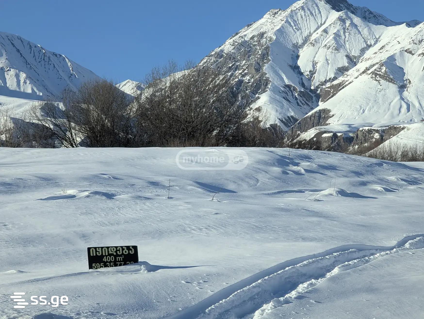 Land For Sale. Gudauri view 2