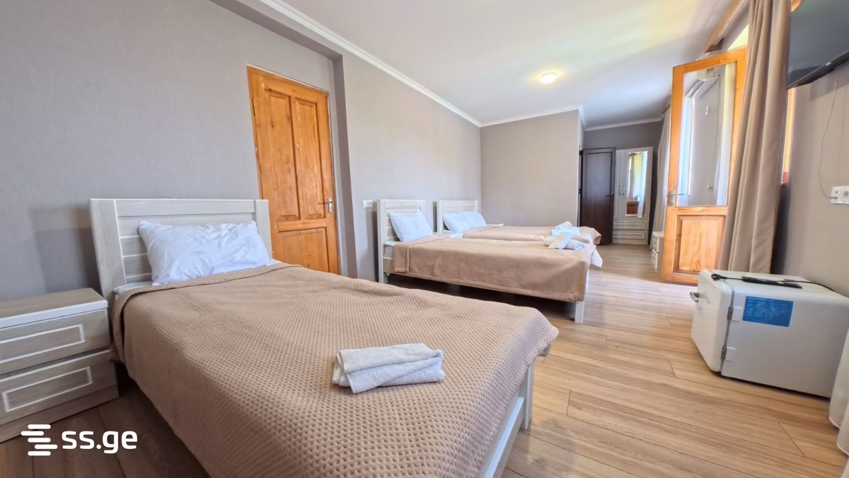 Hotel For Sale. Mtskheta view 3