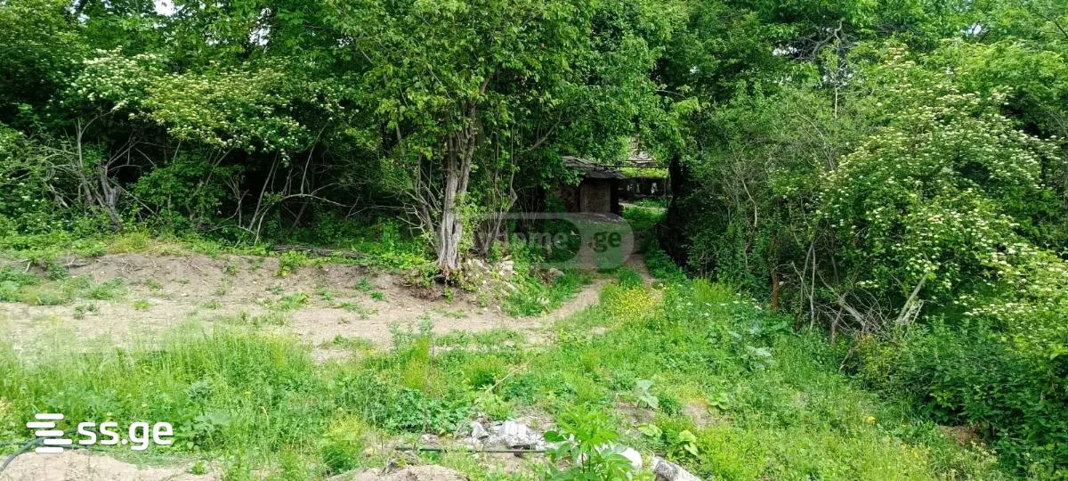 იყიდება მიწა კასპიში view 4