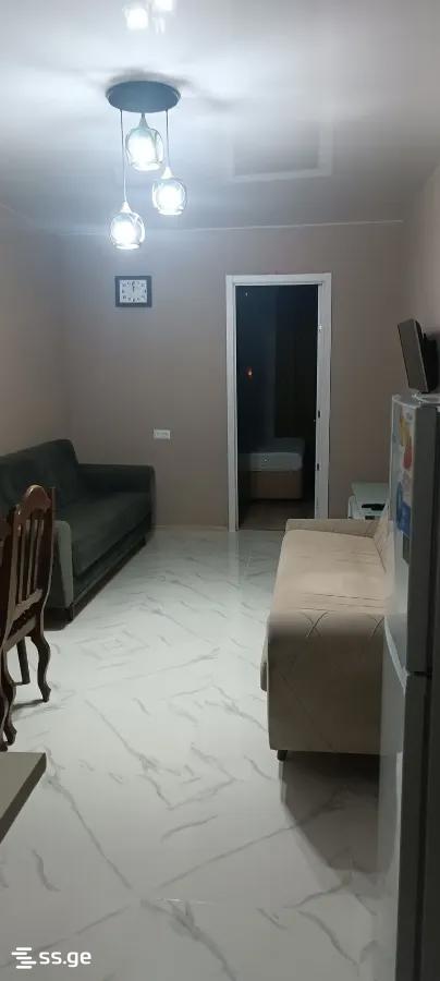2 Room Private House For Rent. Mukhiani view 6