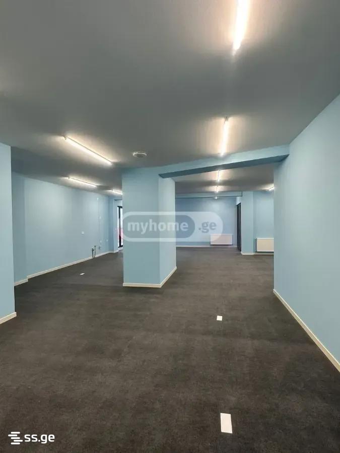 Office For Rent. Nadzaladevi view 8