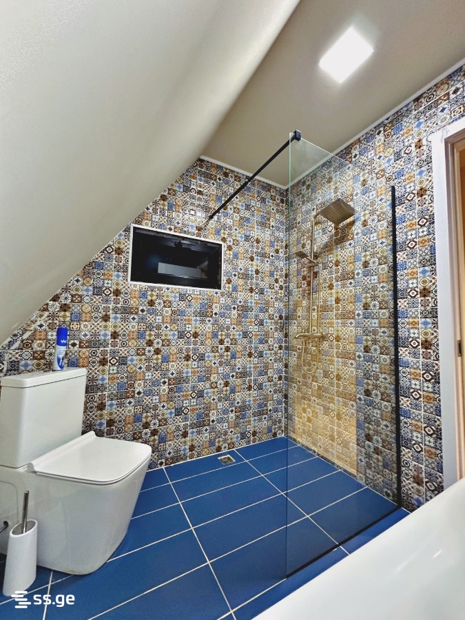 6 Room Private House Daily Rent. Bazaleti view 7