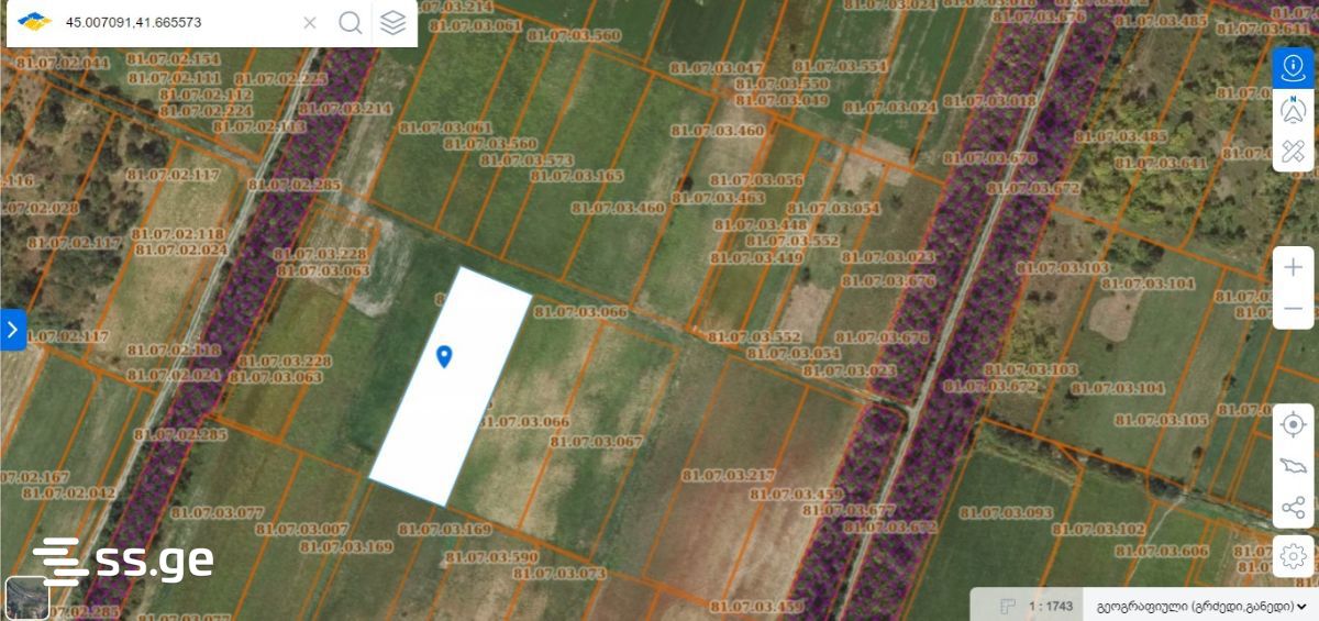 Land For Sale. Gamarjveba view 2