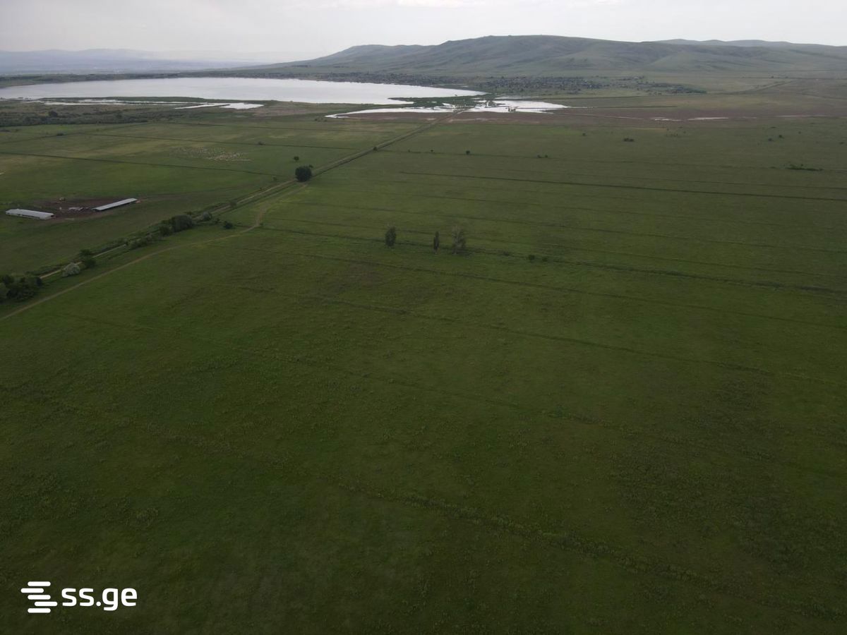 Land For Sale. Gardabani, 1 of 4