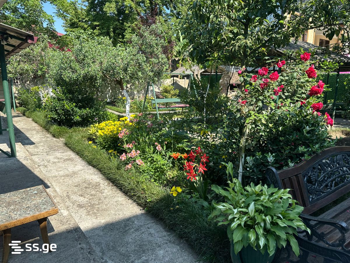 Private House Daily Rent. Kobuleti view 5