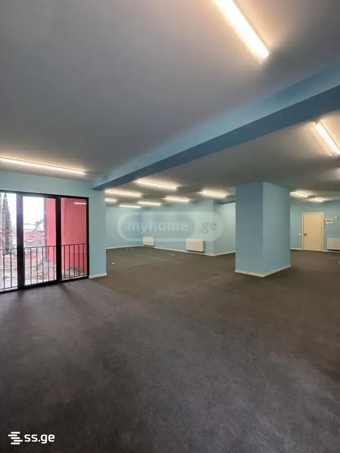 Office For Rent. Nadzaladevi view 3