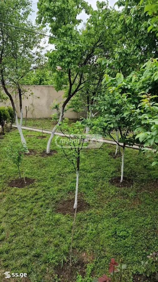 4 Room Private House For Rent. Rustavi view 8