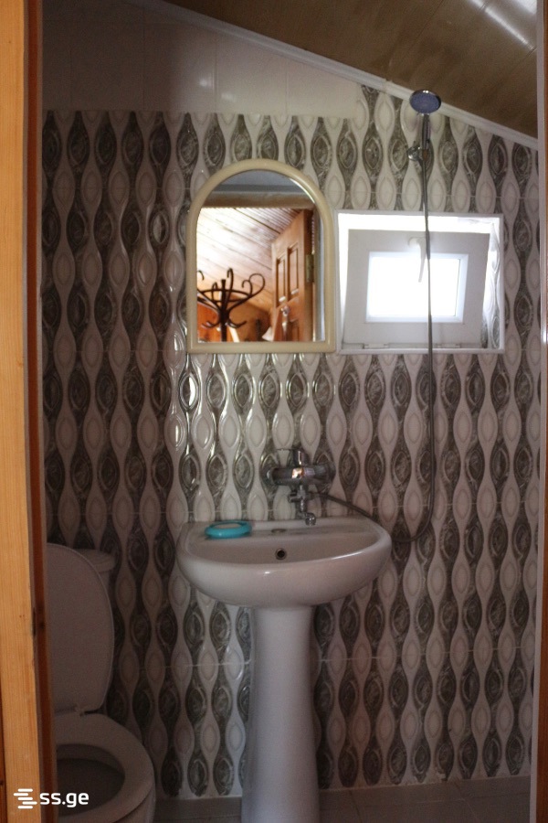 1 Room Private House Daily Rent. Borjomi view 8