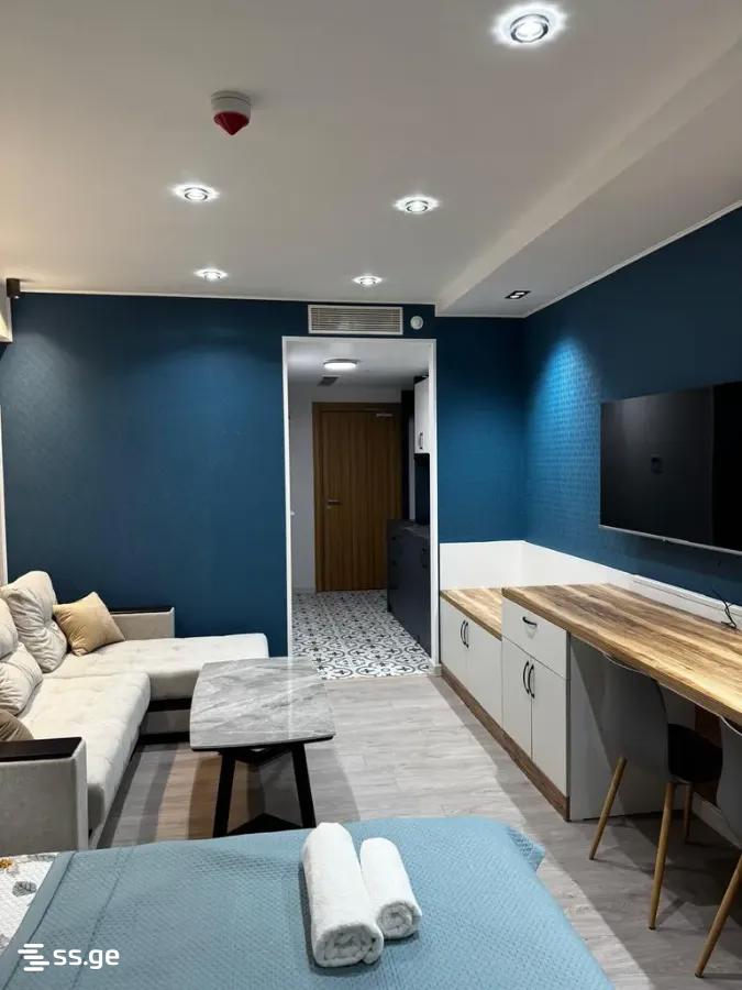1 Room Flat For Sale view 3