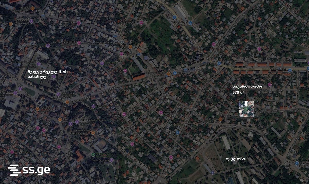 Land For Sale. Telavi view 7