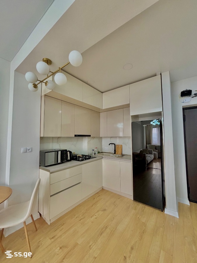 2 room Flat For Rent. Didi digomi - Widok 3