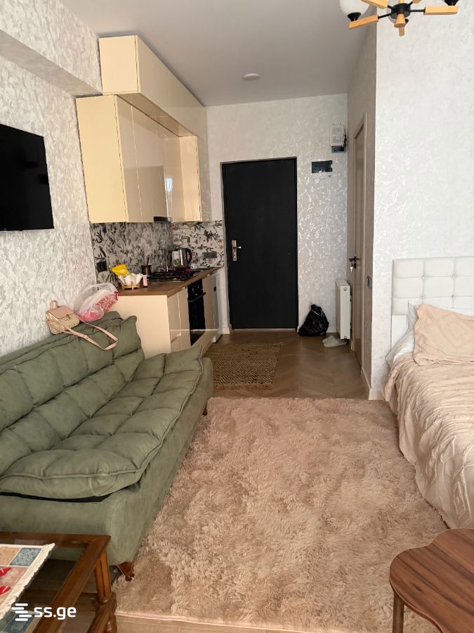 1 Room Flat For Sale view 3