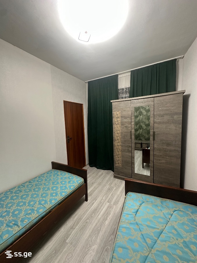 2 Room Private House For Rent. Nadzaladevi view 2