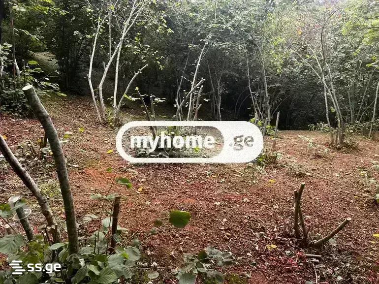 Land For Sale. Tsikhisdziri view 4