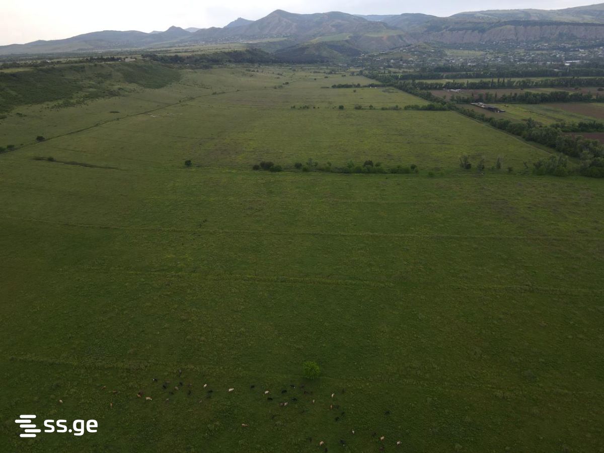 Land For Sale. Gardabani, 3 of 4