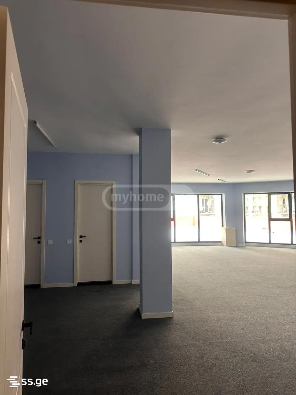 Commercial Space For Sale. Nadzaladevi view 14