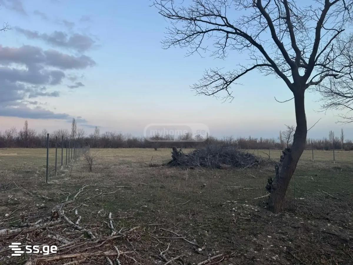 Land For Sale. Gardabani, 2 of 4