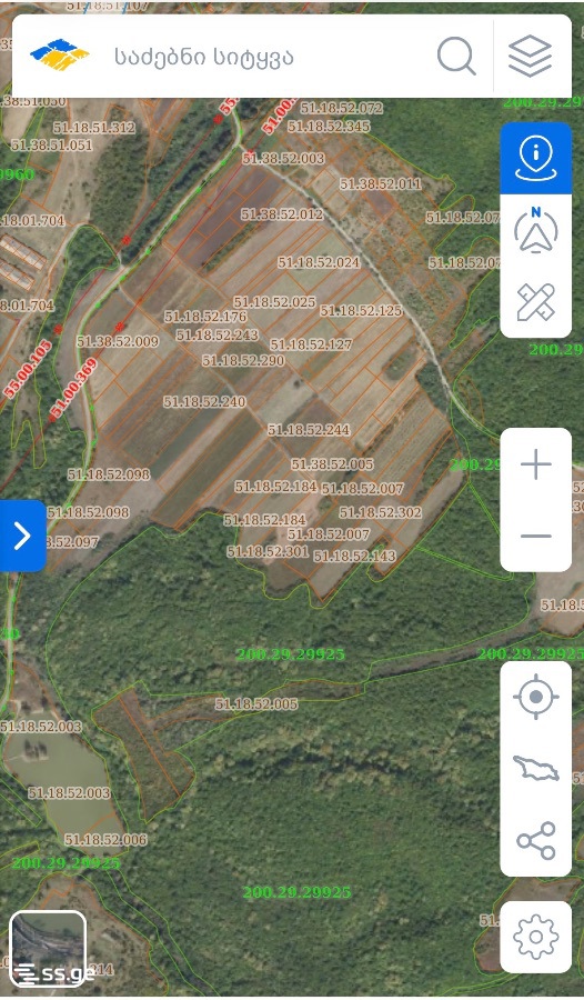 For Sale Sasoplo-Sameurneo Land Plot Gurjaanshi view 2