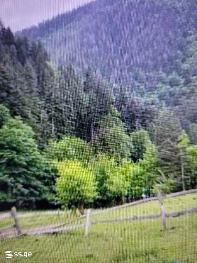 For Sale Sasoplo-Sameurneo Land Plot Borjomis Munitsipalitetshi view 2