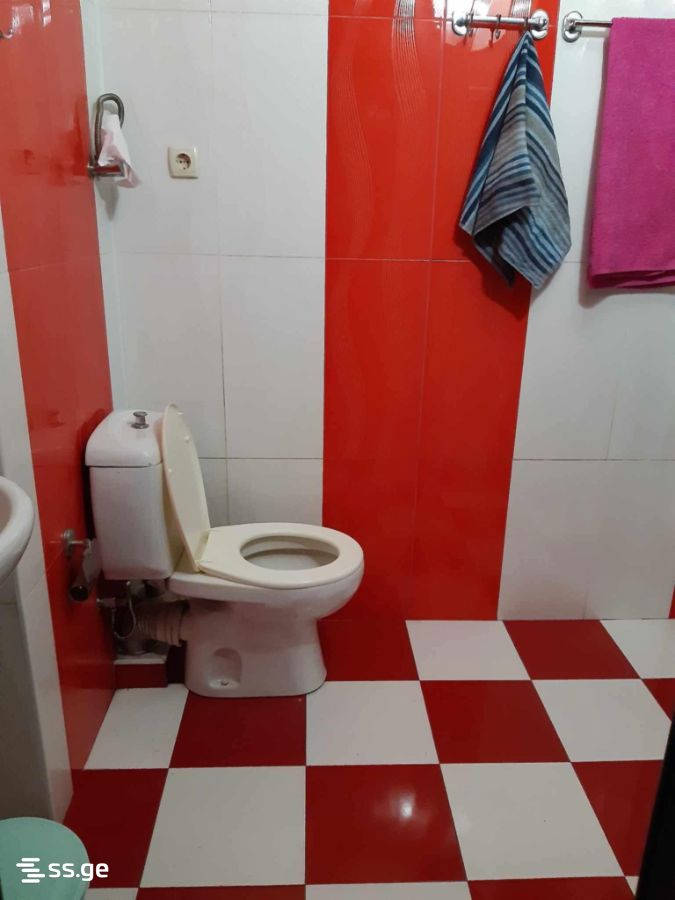 3 Room Flat Daily Rent. Batumi view 6
